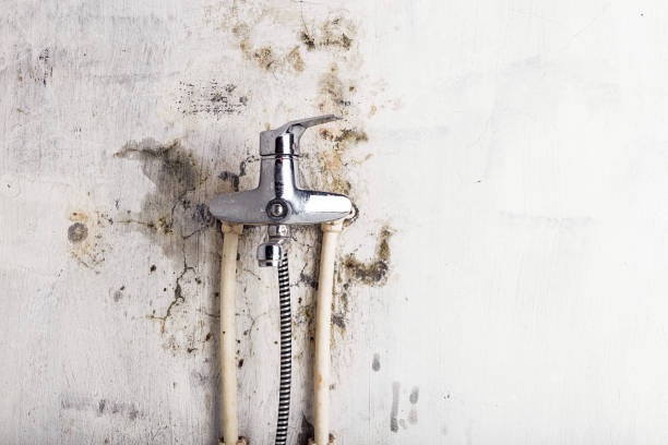 Best Water Damage Restoration  in Navesink, NJ